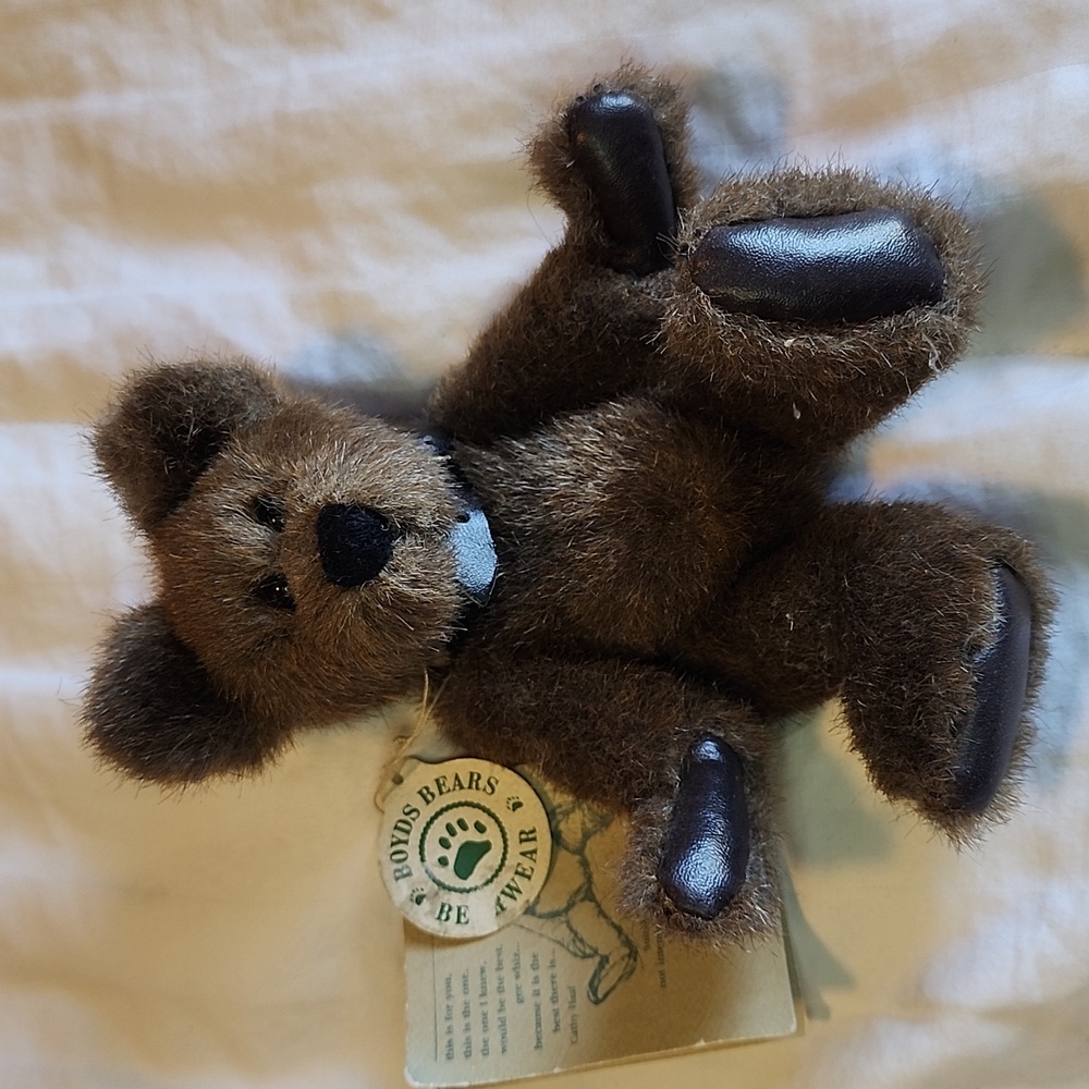 Boys Bear Humboldt